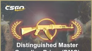 distinguished master guardian prime dmg