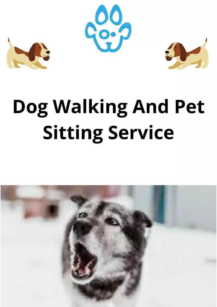 dog walking and pet sitting service