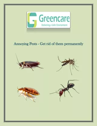 Annoying Pests - Get rid of them permanently