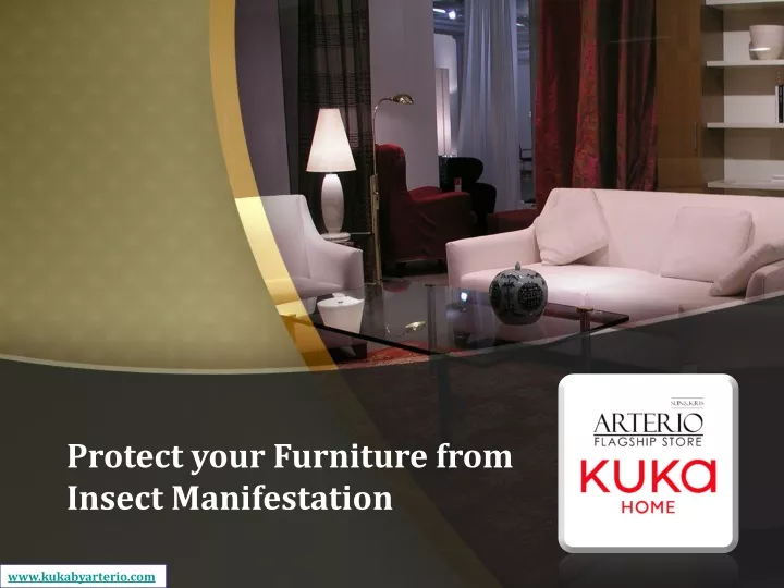 protect your furniture from insect manifestation