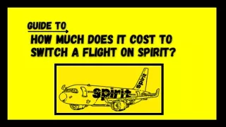 How much does it cost to switch a flight on Spirit