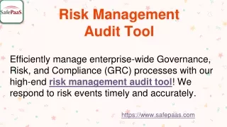 risk management audit tool