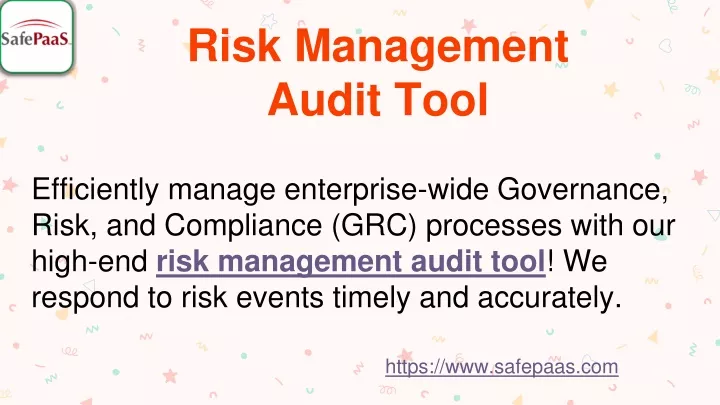 risk management audit tool