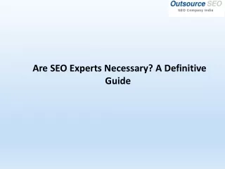 Are SEO Experts Necessary A Definitive Guide