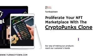 Hoist Your NFT Business With CryptoPunks Clone