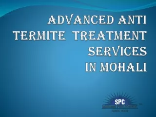 Advanced Anti Termite Treatment Services in Mohali