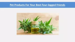 pet products for your best four legged friends