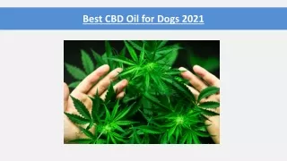best cbd oil for dogs 2021