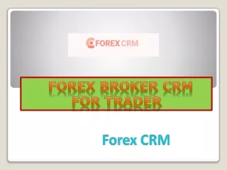 forex crm