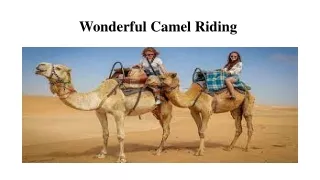Wonderful Camel Riding