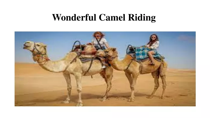 wonderful camel riding