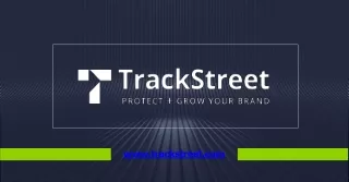 Top Rated Enforce Channel Brand Presence Violator in USA