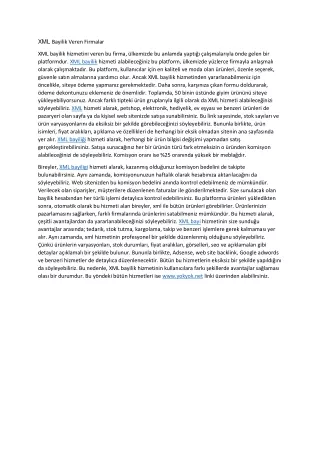 xml bayilik veren firmalar