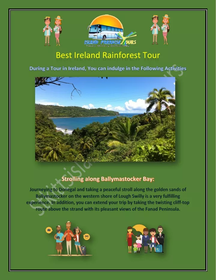 best ireland rainforest tour