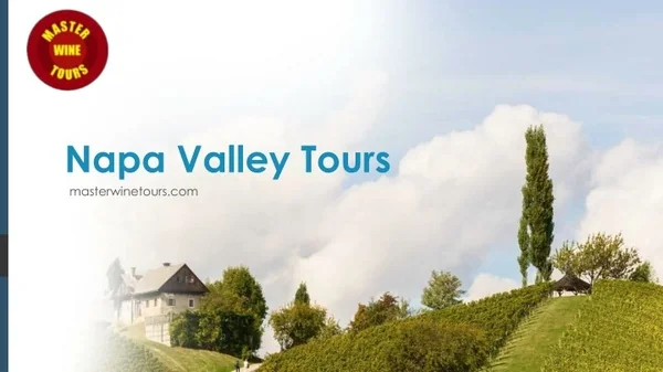 Book Hassle-Free Custom Napa Valley Tours from Master Wine Tours