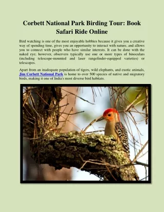 Corbett National Park Birding Tour: Book Safari Ride Online