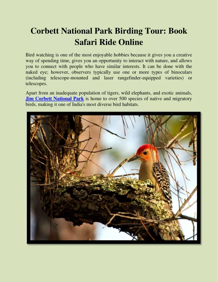 corbett national park birding tour book safari