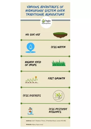 Various Advantages of Hydroponic System over Traditional Agriculture-converted