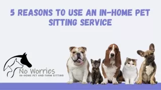 5 Reasons To Use An In-Home Pet Sitting Service