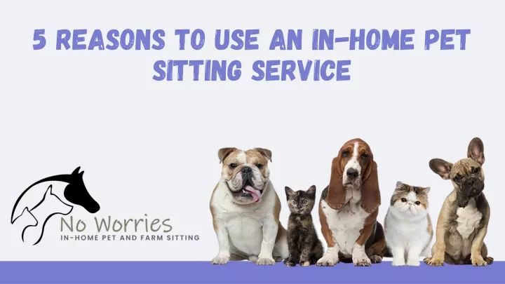 5 reasons to use an in home pet sitting service
