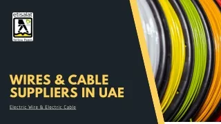 Wires & Cable Suppliers In UAE  Electric Wire & Electric Cable