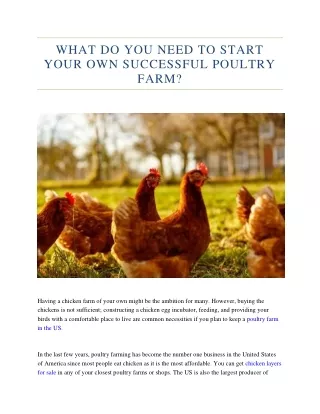 what do you need to start your own successful