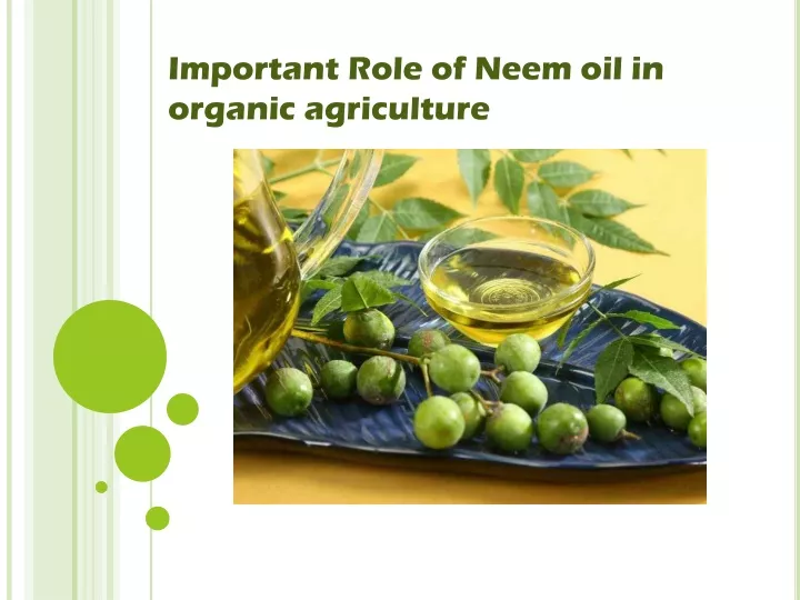 important role of neem oil in organic agriculture