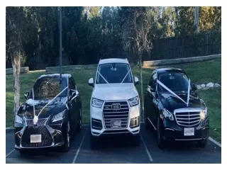 Luxury   Stretch Limo Hire in Brisbane