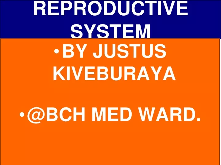 reproductive system