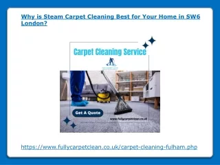 why is steam carpet cleaning best for your home
