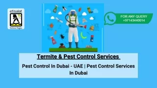 Termite & Pest Control Services