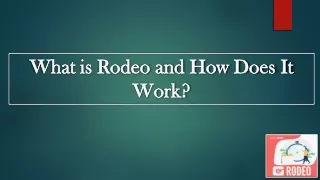 what is rodeo and how does it work