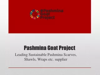 Leading Sustainable Pashmina Scarves, Shawls, Wraps etc. supplier
