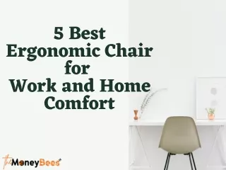 5 Best Ergonomic Chair for Work and Home Comfort