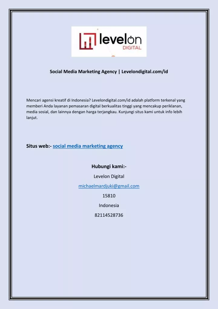 social media marketing agency levelondigital