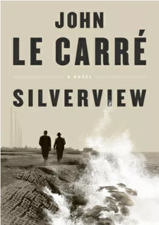 Kindle Silverview Full