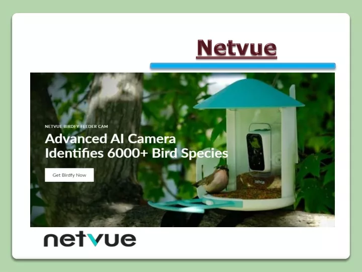 netvue