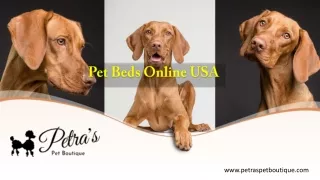 Pet Beds Online USA