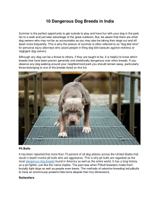10 dangerous dog breeds in india