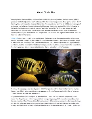 about cichlid fish