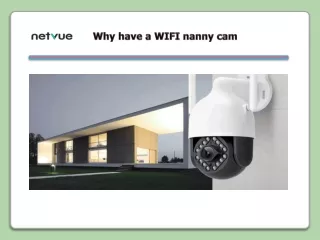 why have a wifi nanny cam