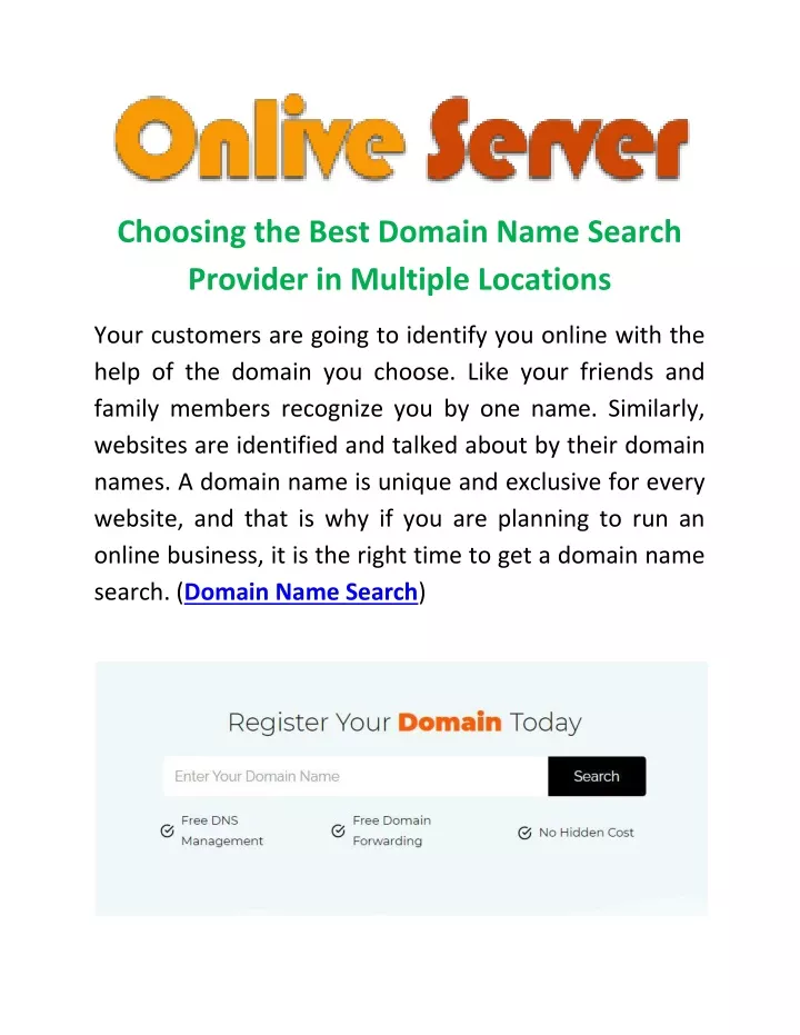 choosing the best domain name search provider