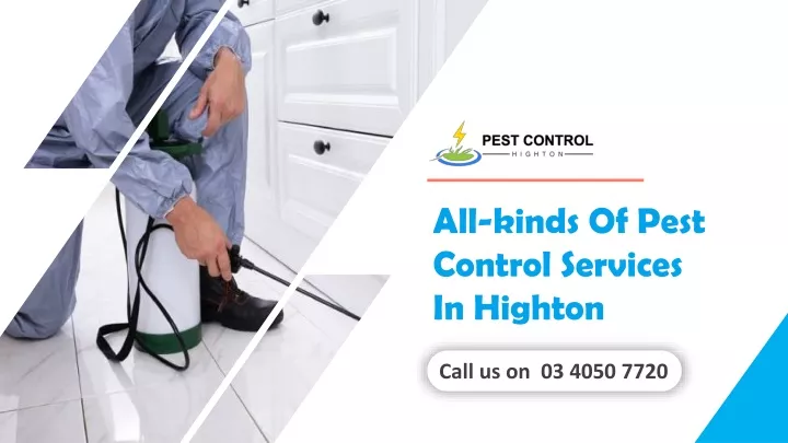 all kinds of pest control services in highton