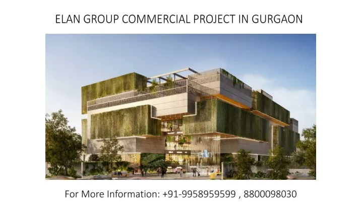 elan group commercial project in gurgaon