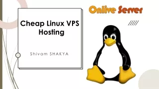 Got the Cheap Linux VPS Hosting plans and Services