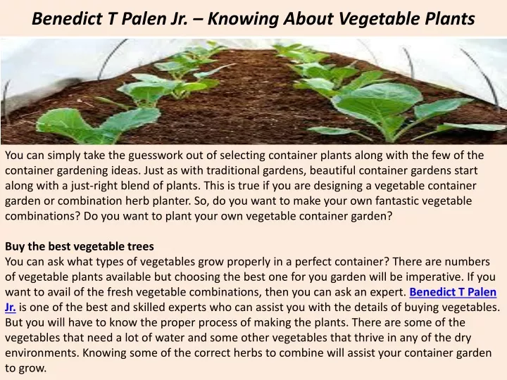 benedict t palen jr knowing about vegetable plants