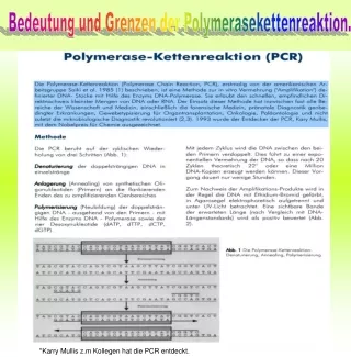 Bedeutung und Grenzen der Polymerasekettenreaktion.