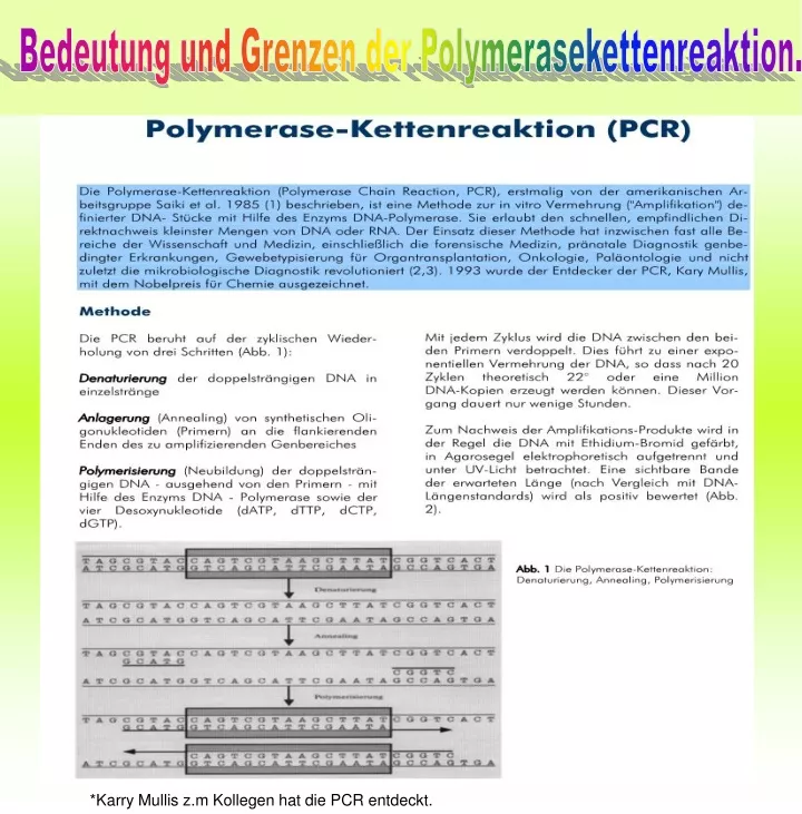 bedeutung und grenzen der polymerasekettenreaktion