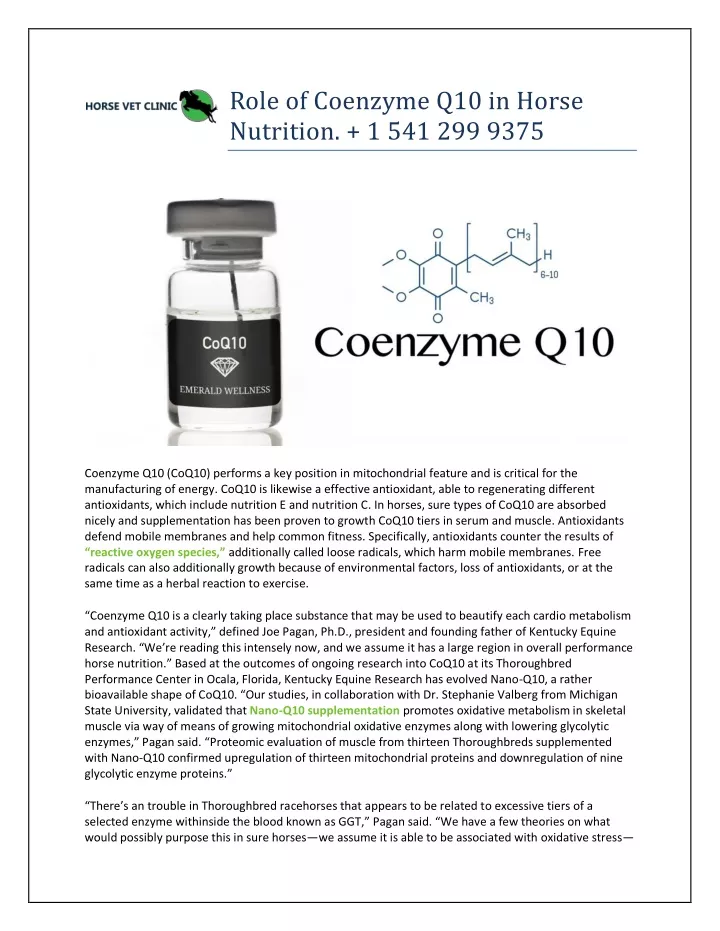role of coenzyme q10 in horse nutrition