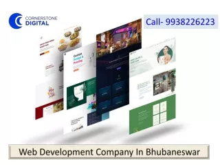 Web Development Company In Bhubaneswar
